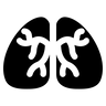 Bronchoscopes
