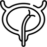 Cystoscopes