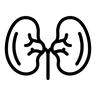 Ureteroscopes